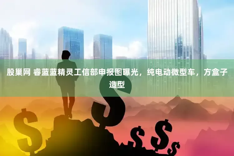 股巢网 睿蓝蓝精灵工信部申报图曝光，纯电动微型车，方盒子造型