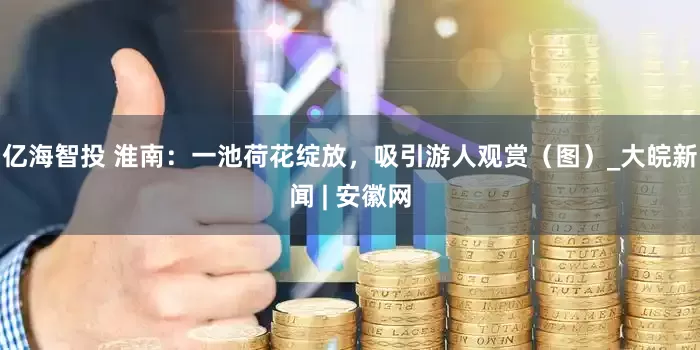 亿海智投 淮南：一池荷花绽放，吸引游人观赏（图）_大皖新闻 | 安徽网