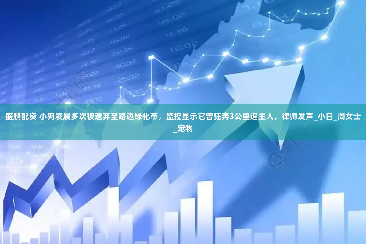 盛鹏配资 小狗凌晨多次被遗弃至路边绿化带，监控显示它曾狂奔3公里追主人，律师发声_小白_周女士_宠物