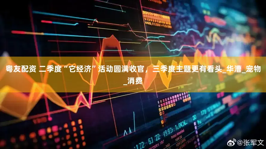 粤友配资 二季度“它经济”活动圆满收官，三季度主题更有看头_华漕_宠物_消费