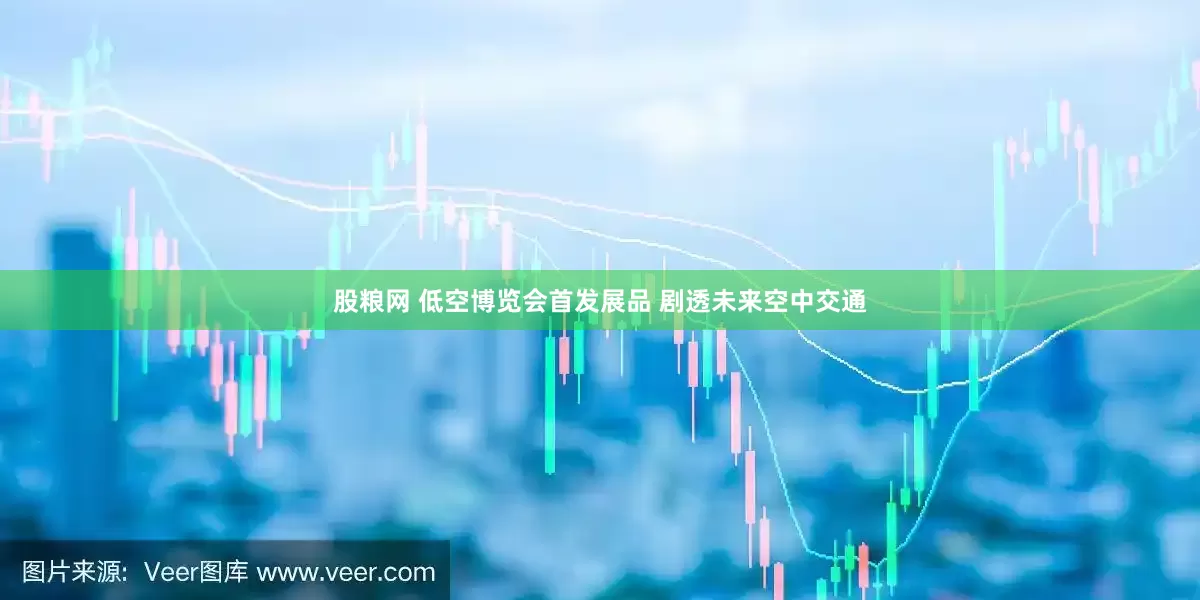 股粮网 低空博览会首发展品 剧透未来空中交通