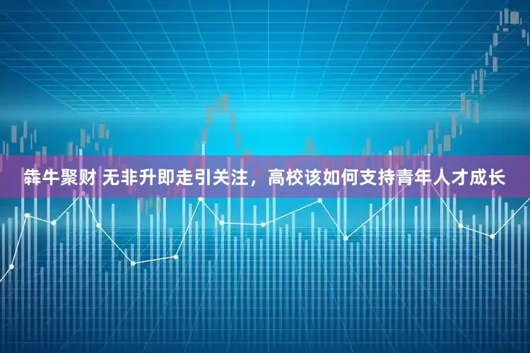 犇牛聚财 无非升即走引关注，高校该如何支持青年人才成长