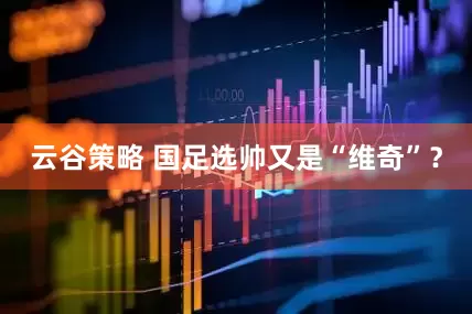 云谷策略 国足选帅又是“维奇”？