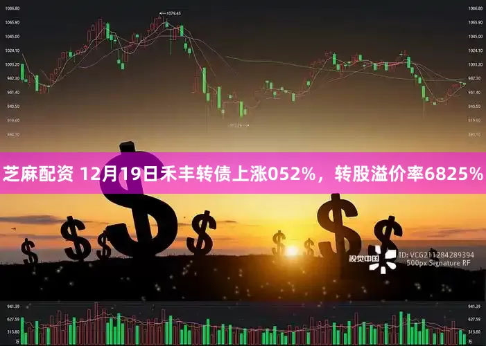 芝麻配资 12月19日禾丰转债上涨052%，转股溢价率6825%