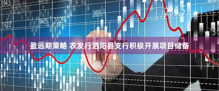 盈远期策略 农发行泗阳县支行积极开展项目储备