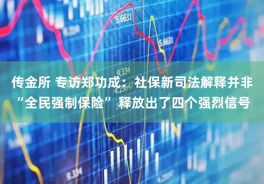 传金所 专访郑功成：社保新司法解释并非“全民强制保险” 释放出了四个强烈信号